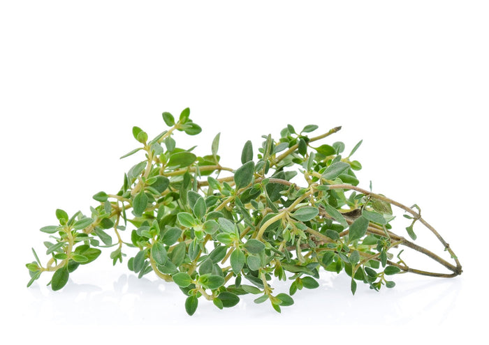 Lemon Thyme (100g)