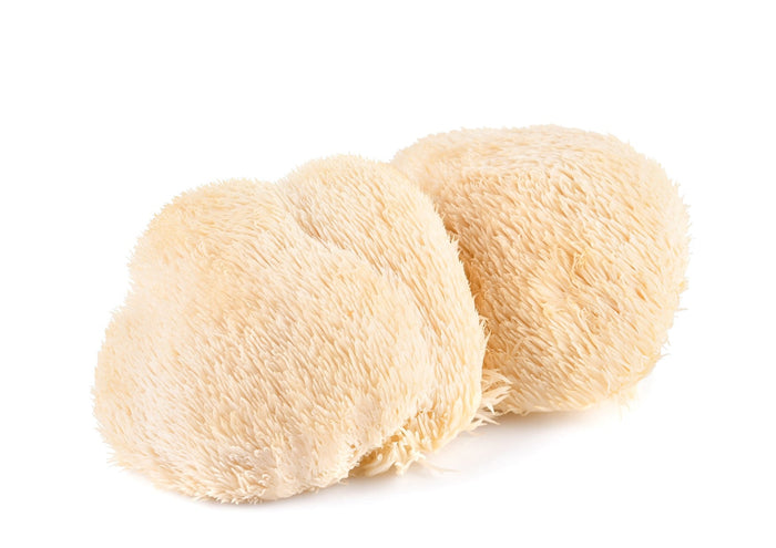 Mushrooms Lions Mane (1Kg) (Pre-Order)