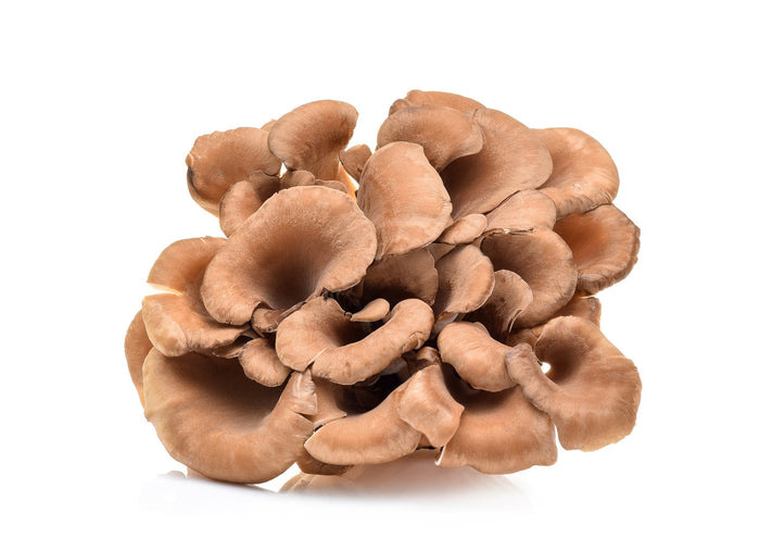 Mushrooms Maitake (Hen of the Wood) (1Kg) (Pre-Order)