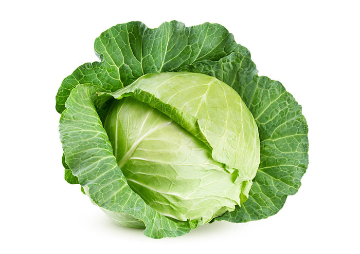 Cabbage Green Primo (Each)