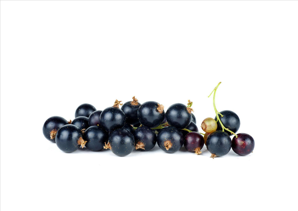 Blackcurrants (200g) – Osolocal2U