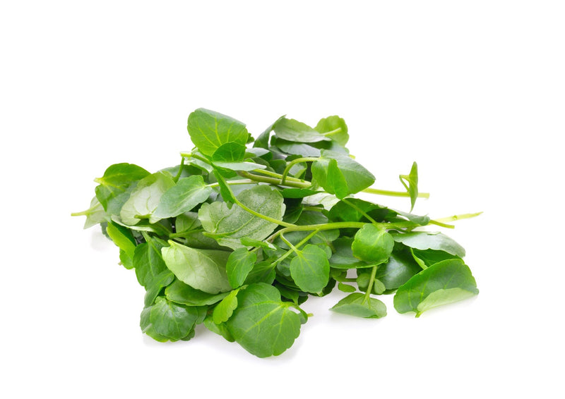 Benefits of 2024 watercress juice